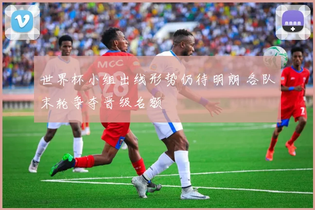 世界杯小组出线形势仍待明朗 各队末轮争夺晋级名额