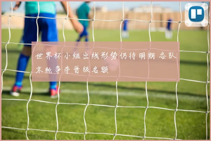 世界杯小组出线形势仍待明朗 各队末轮争夺晋级名额
