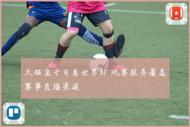 天猫盒子可看世界杯 观赛服务覆盖赛事直播渠道